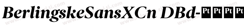 BerlingskeSansXCn DBd字体转换